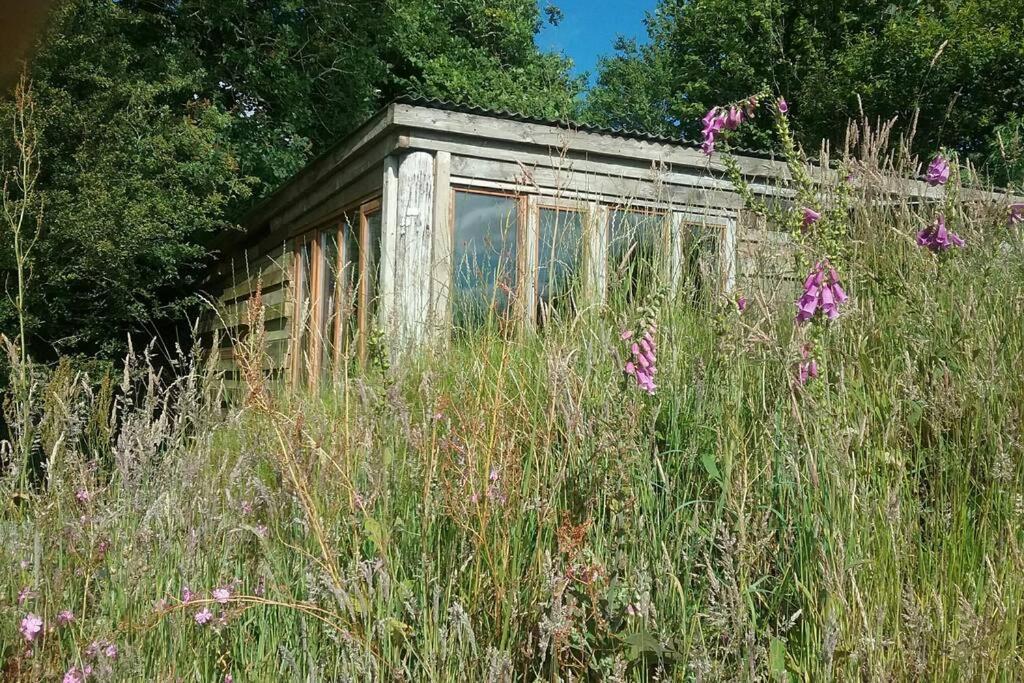 Foxesden, Unique Eco Cabin, Dartmoor Views South Brent Eksteriør bilde